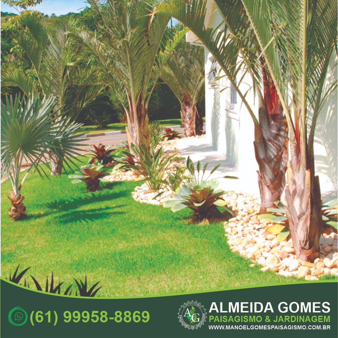 Paisagem 3 - Especialistas em Jardinagem
